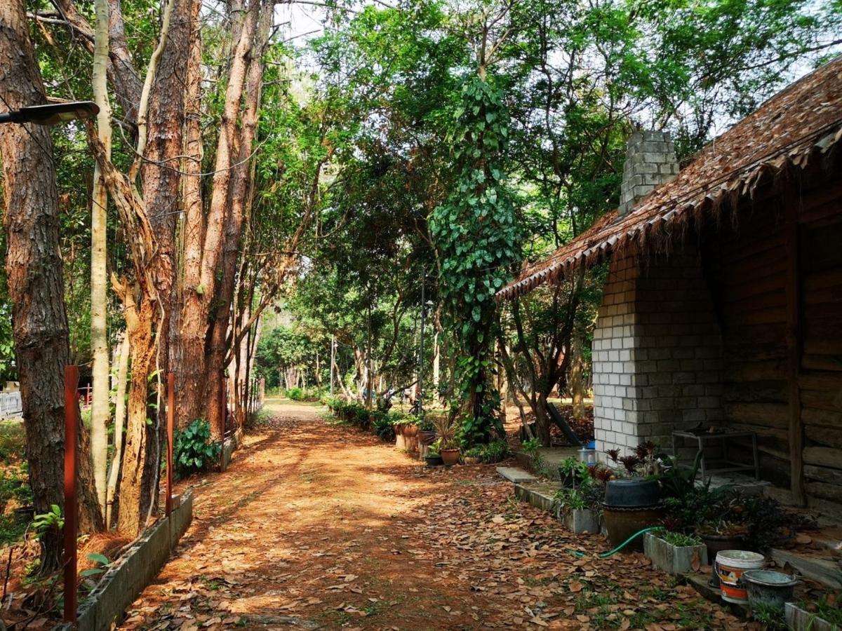Sonseesaed Farm At Phurua Exterior photo